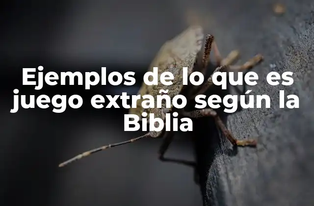 Ejemplos de Lo que es Juego Extraño según la Biblia