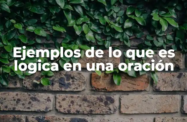 Ejemplos de Lo que es Logica en una Oración