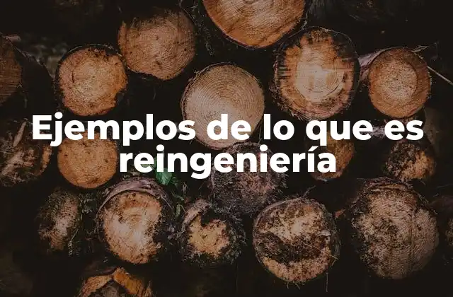 Ejemplos de Lo que es Reingeniería