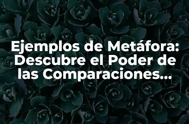 Ejemplos de Metáfora: Descubre el Poder de las Comparaciones Creativas
