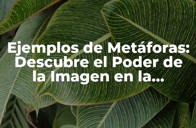 Ejemplos de Metáforas: Descubre el Poder de la Imagen en la Comunicación