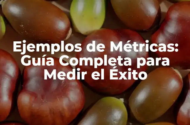 Ejemplos de Métricas: Guía Completa para Medir el Éxito