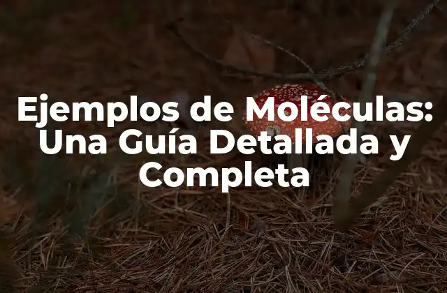 Ejemplos de Moléculas: una Guía Detallada y Completa
