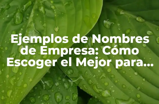 Ejemplos de Nombres de Empresa: Cómo Escoger el Mejor para Tu Negocio