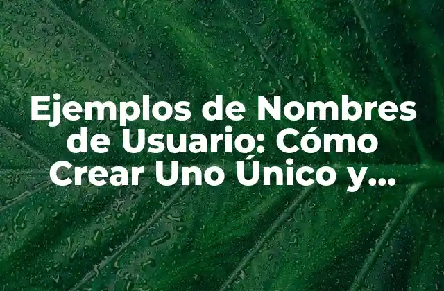 Ejemplos de Nombres de Usuario: Cómo Crear Uno Único y Seguro