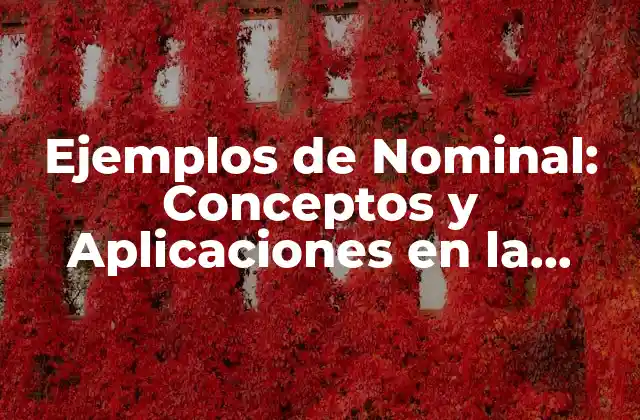 Ejemplos de Nominal: Conceptos y Aplicaciones en la Lingüística 2 Definición de Nominal