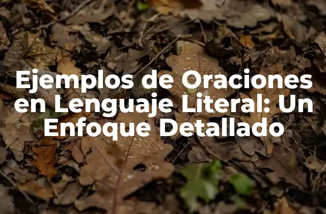 Ejemplos de Oraciones en Lenguaje Literal: un Enfoque Detallado