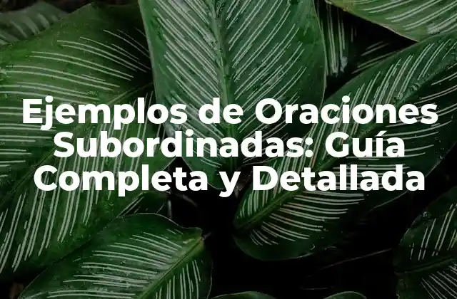 Ejemplos de Oraciones Subordinadas: Guía Completa y Detallada