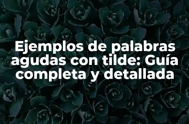 Ejemplos de Palabras Agudas con Tilde: Guía Completa y Detallada