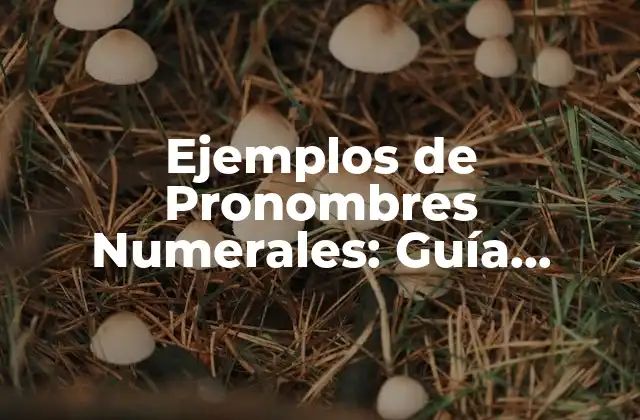 Ejemplos de Pronombres Numerales: Guía Completa y Detallada