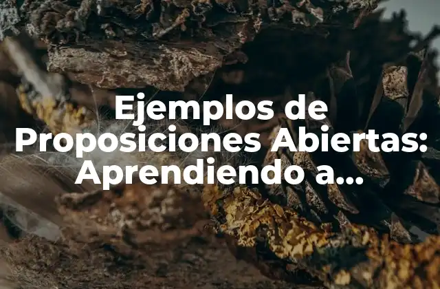 Ejemplos de Proposiciones Abiertas: Aprendiendo a Argumentar con Eficacia