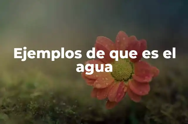 Ejemplos de que es el Agua
