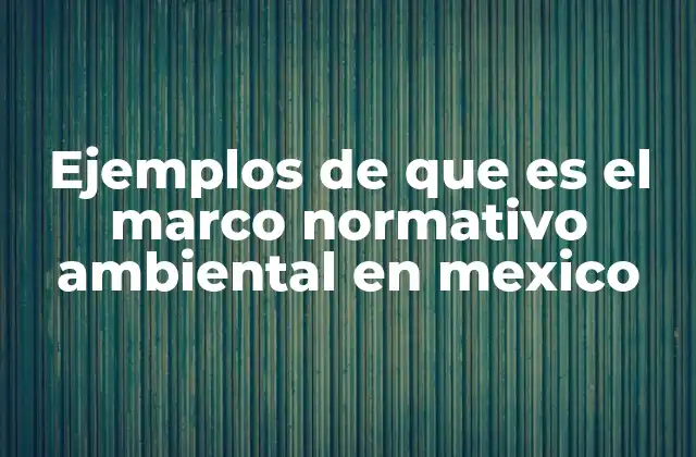 Ejemplos de que es el Marco Normativo Ambiental en Mexico