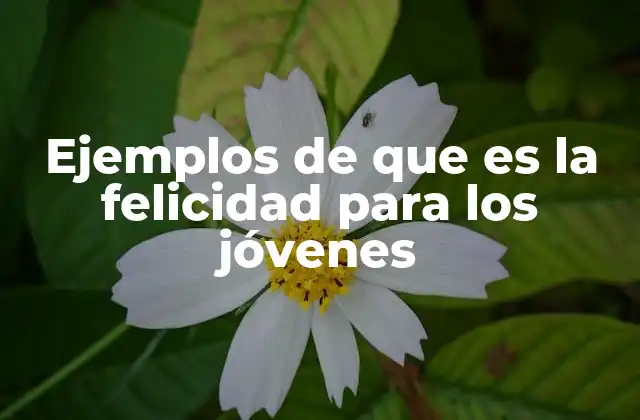 Ejemplos de que es la Felicidad para los Jóvenes 2 Cómo la juventud interpreta el concepto de bienestar emocional
