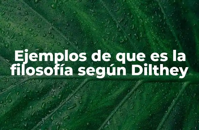 La filosofía como interpretación de la experiencia humana