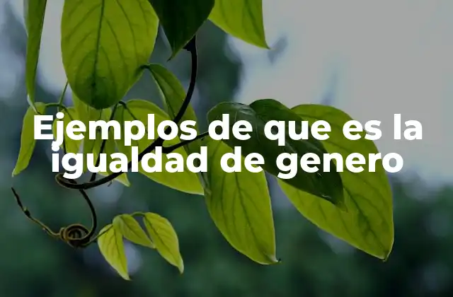 Ejemplos de que es la Igualdad de Genero