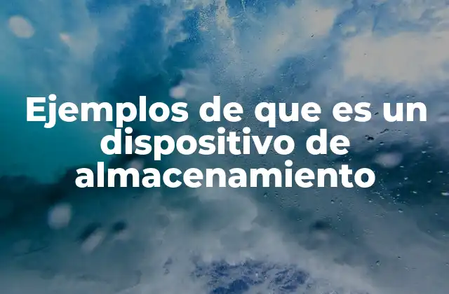 Ejemplos de que es un Dispositivo de Almacenamiento