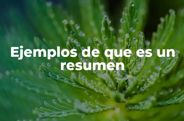 Ejemplos de que es un Resumen