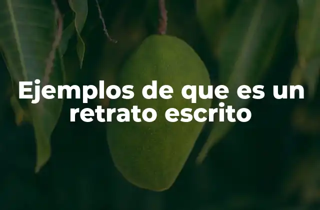 Ejemplos de que es un Retrato Escrito