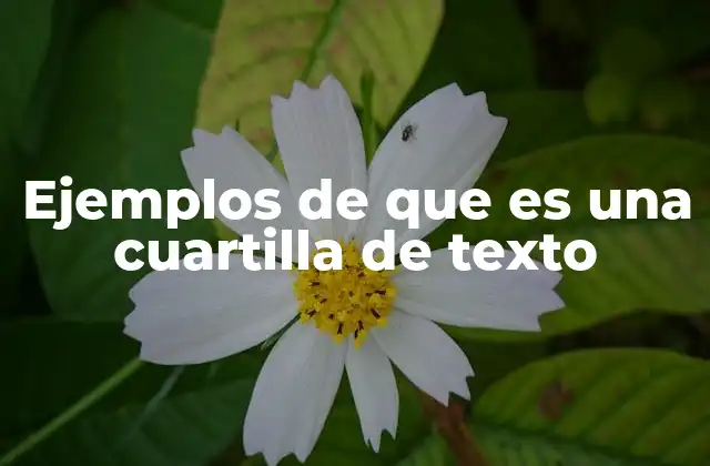 Ejemplos de que es una Cuartilla de Texto