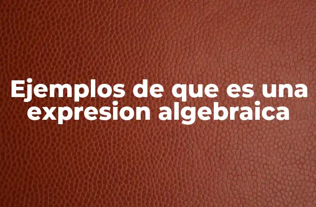 Ejemplos de que es una Expresion Algebraica