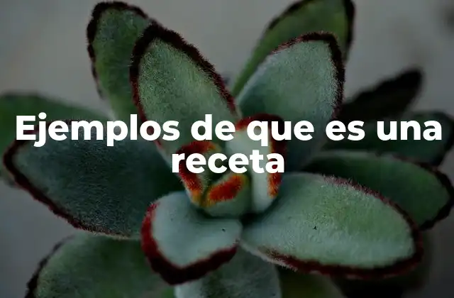 Ejemplos de que es una Receta
