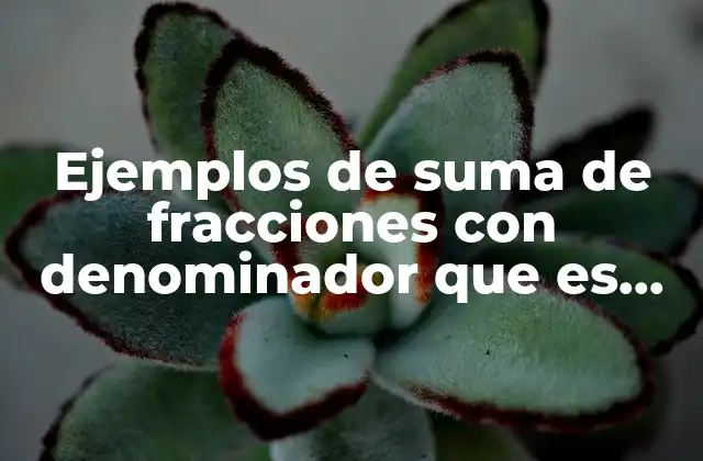 Cómo abordar la suma de fracciones con denominadores divisibles