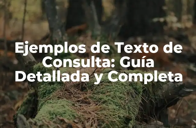 ¿Qué es un Texto de Consulta?
