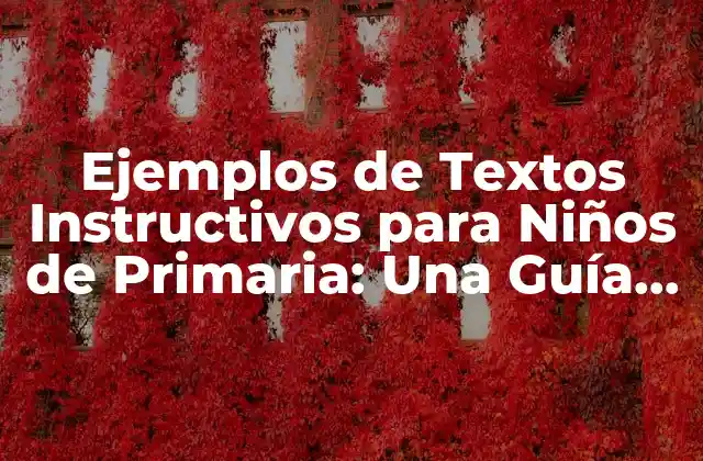 Ejemplos de Textos Instructivos para Niños de Primaria: una Guía Completa