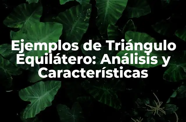 Ejemplos de Triángulo Equilátero: Análisis y Características