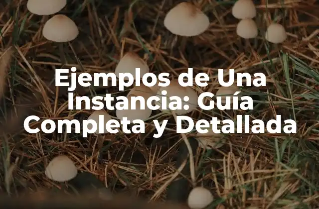 Ejemplos de una Instancia: Guía Completa y Detallada