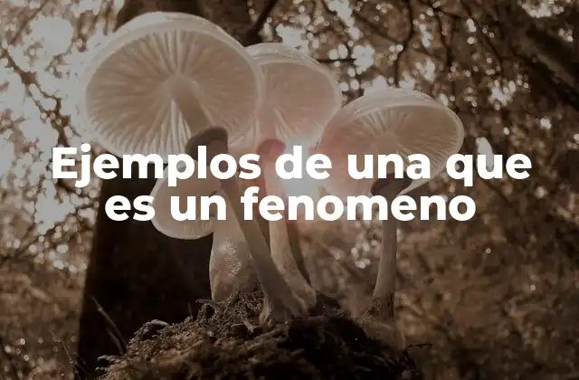 Ejemplos de una que es un Fenomeno