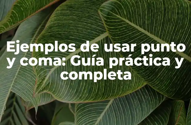 Ejemplos de Usar Punto y Coma: Guía Práctica y Completa