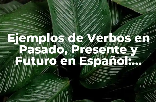 Ejemplos de Verbos en Pasado, Presente y Futuro en Español: Guía Completa