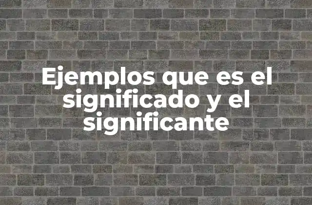 Ejemplos que es el Significado y el Significante