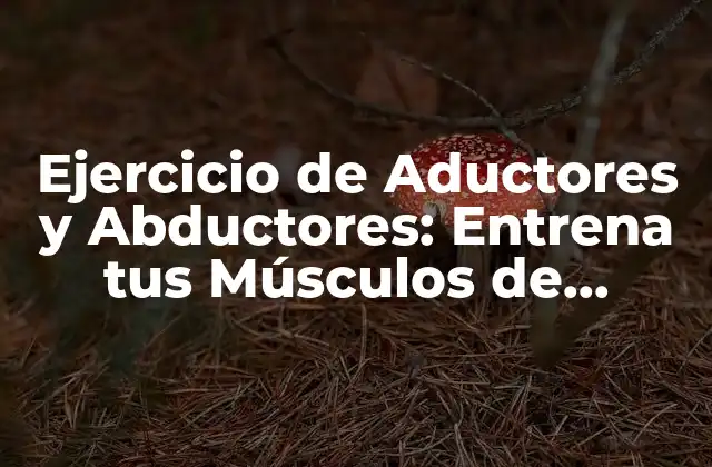 Ejercicio de Aductores y Abductores: Entrena Tus Músculos de Caderas y Piernas