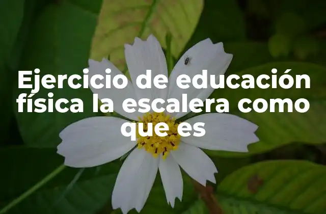 Ejercicio de Educación Física la Escalera como que es