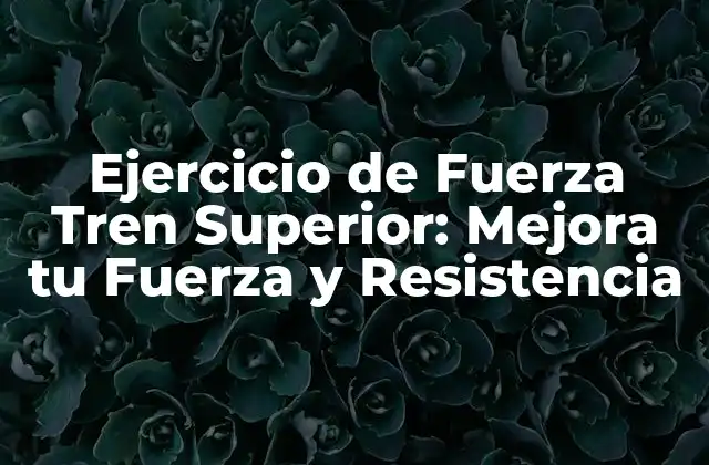 Ejercicio de Fuerza Tren Superior: Mejora Tu Fuerza y Resistencia