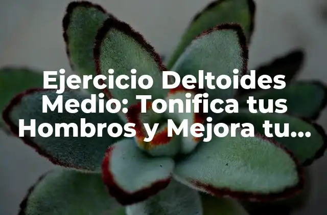 Ejercicio Deltoides Medio: Tonifica Tus Hombros y Mejora Tu Postura