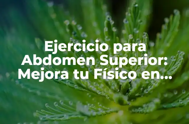 Ejercicio para Abdomen Superior: Mejora Tu Físico en Casa 2 ¿Por qué es Importante Fortalecer el Abdomen Superior?