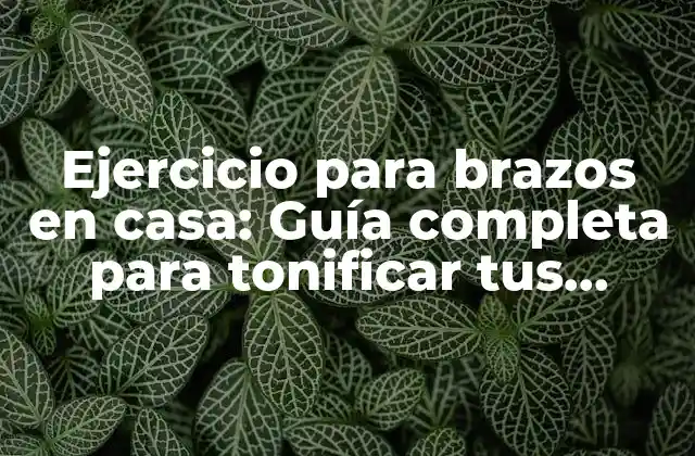 Ejercicio para Brazos en Casa: Guía Completa para Tonificar Tus Brazos sin Salir de Tu Hogar