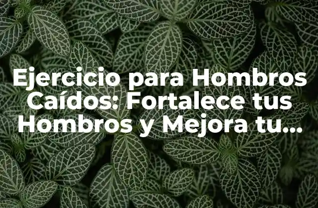 Ejercicio para Hombros Caídos: Fortalece Tus Hombros y Mejora Tu Postura