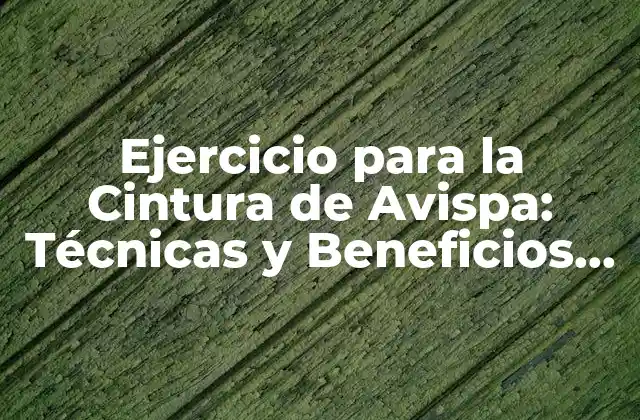 Ejercicio para la Cintura de Avispa: Técnicas y Beneficios para un Abdomen Fuerte