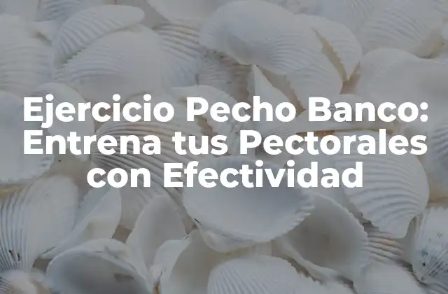 Ejercicio Pecho Banco: Entrena Tus Pectorales con Efectividad