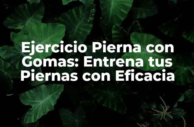 Ejercicio Pierna con Gomas: Entrena Tus Piernas con Eficacia 2 Beneficios de los Ejercicios de Pierna con Gomas