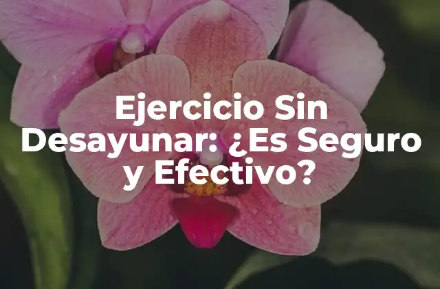 Ejercicio sin Desayunar: ¿es Seguro y Efectivo?