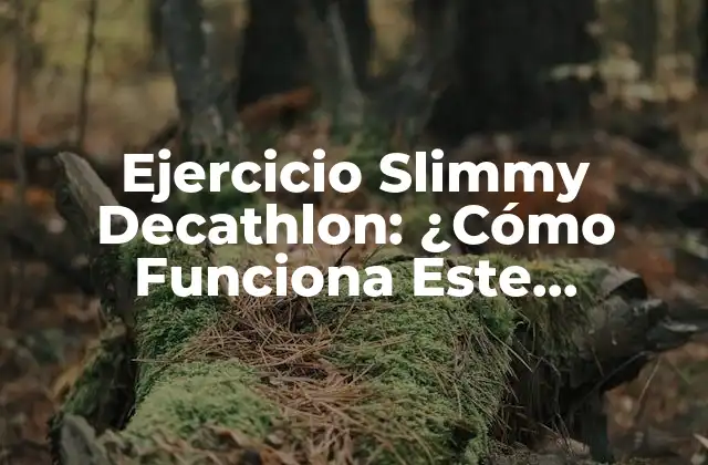 Ejercicio Slimmy Decathlon: ¿cómo Funciona Este Entrenamiento Completo? 2 ¿Qué es el Ejercicio Slimmy Decathlon?