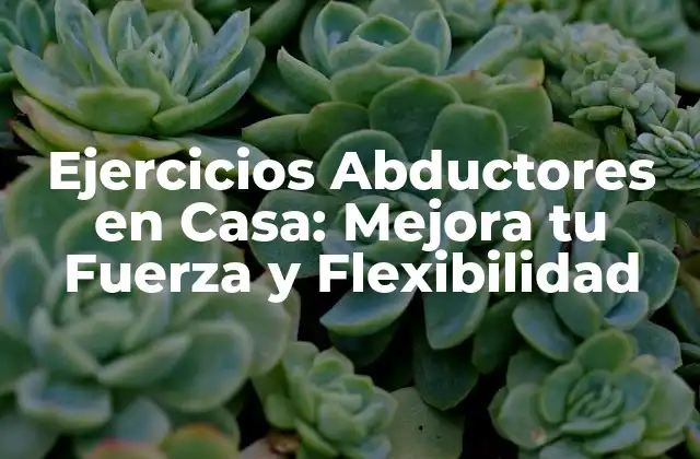 Ejercicios Abductores en Casa: Mejora Tu Fuerza y Flexibilidad