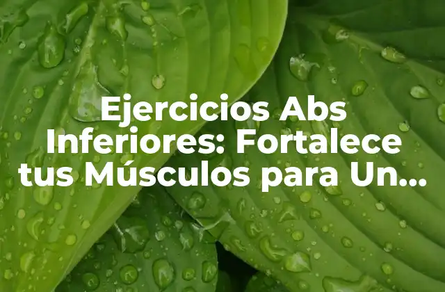 Ejercicios Abs Inferiores: Fortalece Tus Músculos para un Mejor Equilibrio