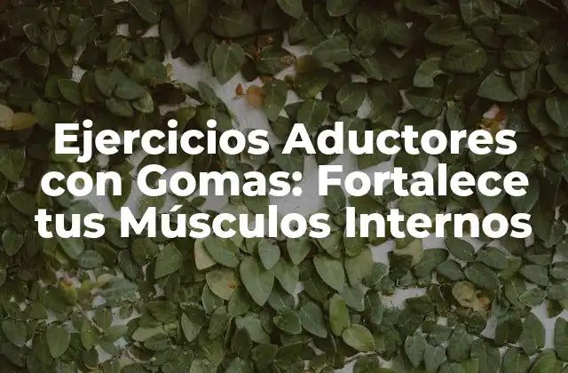 Ejercicios Aductores con Gomas: Fortalece Tus Músculos Internos 2 ¿Qué son los Músculos Aductores y por qué son Importantes?